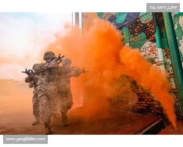搏击经纪人制度改革推动运动员商业开发权归属明确化提升市场竞争力